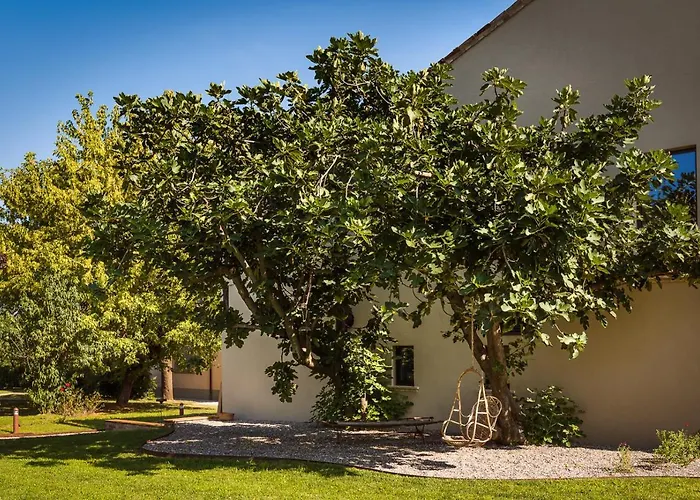 Zucchi Bioagriturismo مزرعة للإقامة Castelnuovo Fogliani